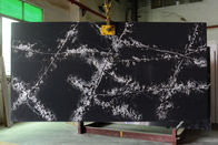 NSF Carrara Quartz Vanity Top cho bồn rửa hình chữ nhật Undermout